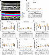 Segmentation and quantification of OCT data.