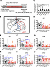 Gastric vagotomy reduces anxiety-like behaviors in DSS-induced colitis mice