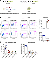 Lineage tracing reveals that stromal cells and a subset of mesenchymal-like