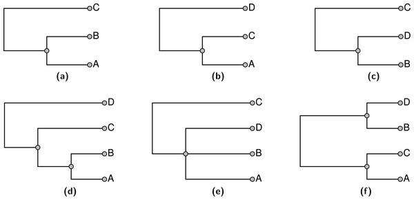 An example of three input trees shown in (A), (B), and (C) which do not conflict in a pairwise manner, but cannot be jointly displayed in one tree. The 3 solution trees are shown in (D–F).