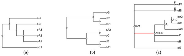 Exemplified input trees (A–B) and pruned taxonomy tree (C) from Fig. 4.