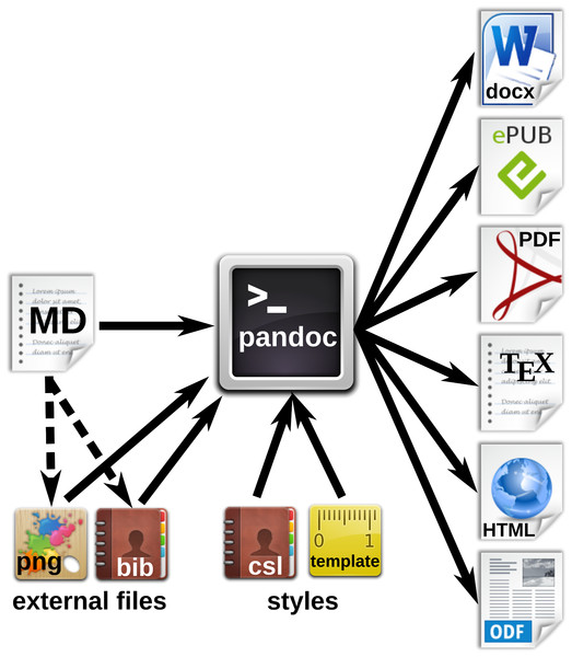 Workfow for the generation of multiple document formats with Pandoc.