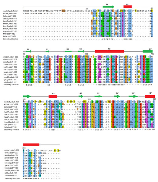 Multiple sequence alignment of TBP sequences of the top 10 closest TBP structural homologs of pB263R.