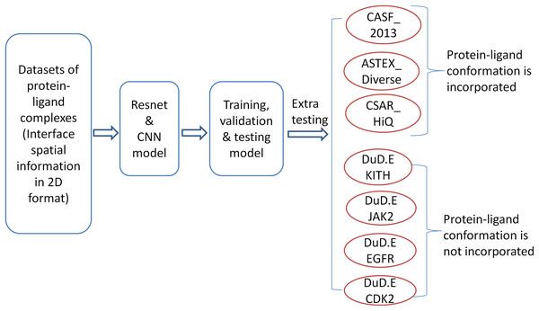 The workflow of model training and testing.