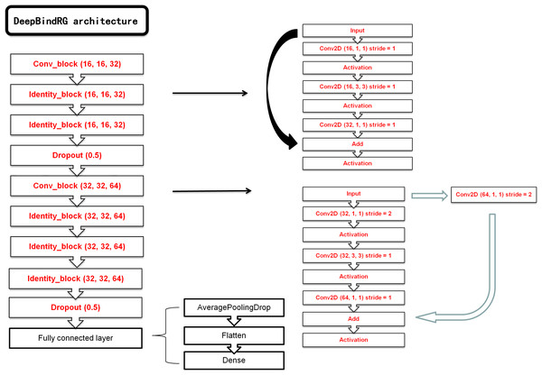 The architecture of our ResNet model.