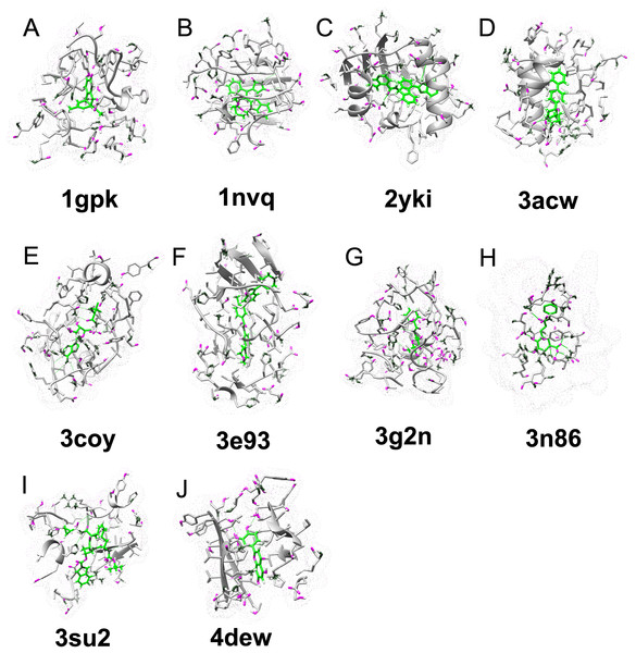 Examples of ligand–protein interaction in the CASF-2013 data set that can be correctly identified by our DeepBindRG, but are not predicted by vina score (DetaG_vina >4, while DetaG_DeepbindRG <2).