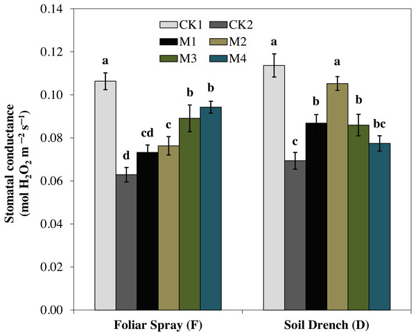 Effects of melatonin on the stomatal conductance in maize seedlings under drought stress.