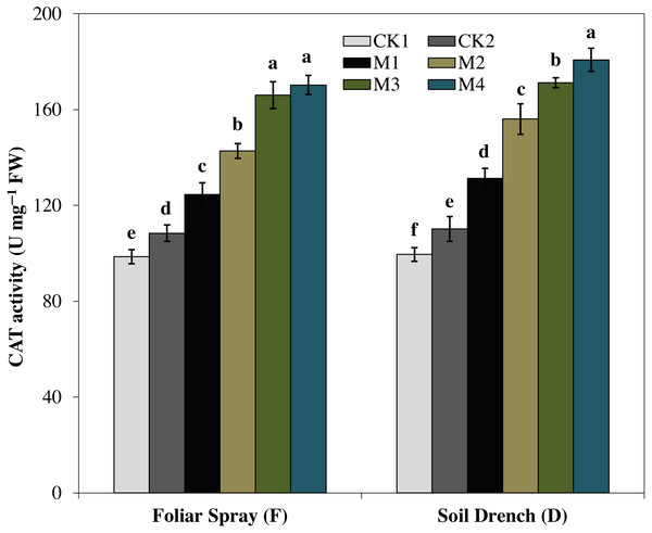 Effects of melatonin on catalase (CAT) activity in maize seedlings under drought stress.