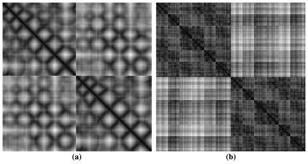 Sample images of protein structures after rescaling (A) showing diagonal and (B) symmetric textures.