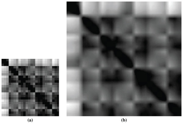 Images of ligand structures: (A) non-scaled and (B) scaled.