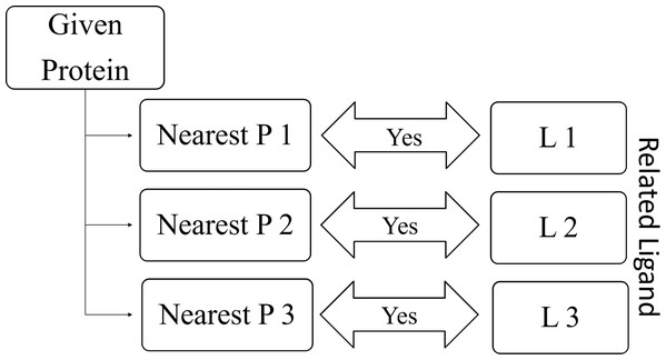 Relation between given protein and related ligands.