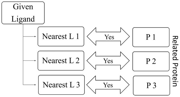 Relation between given ligand and related proteins.