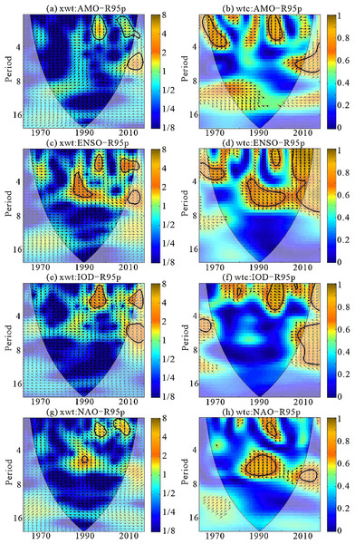 CCross wavelet spectra of the R95p and AMO, R95p and ENSO, R95p and IOD and R95p and NAO time series (A, xwt: AMO-R95p; B, wtc: AMO-R95p; C, xwt: ENSO-R95p; D, wtc: ENSO-R95p; E, xwt: IOD-R95p; F, wtc:IOD-R95p; G, xwt: NAO-R95p; H, wtc: NAO-R95p).