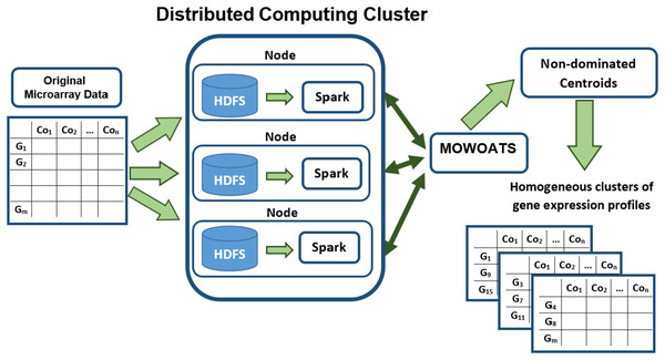 A flow diagram of analyzing Microarray data using MOWOATS executed in parallel over the Spark computing cluster.