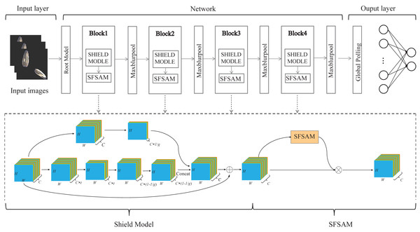 The flowchart of the proposed SeedSortNet model.