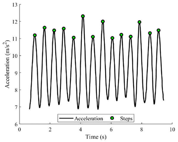 Step detection result.