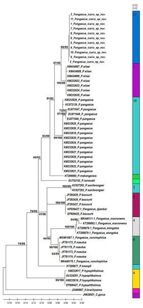 Bayesian analysis of Pangasius species.