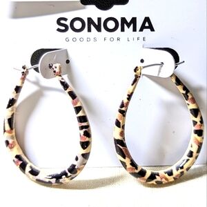 A Pair of Earrings by Sonoma.