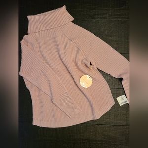 Misia Turtleneck Sweater