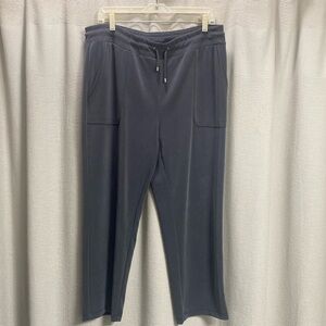 Chicos Zenergy pull on pants SZ 2R 12-4R Grey modal blend Gray ankle casual EUC