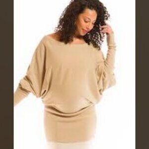 CASHMERE Brand Raglan Sleeve Jumper Sweater Mini Dress Taupe SM