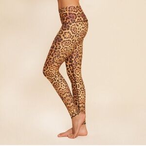 TEEKI GOLD AWAKENING LEOPARD HOT PANT  LEGGINGS EXTRA SMALL