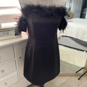 Sleeveless Formal Lined Dress Feather  Trim, Size M NWOT