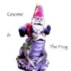 gnomeandthefrog