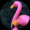 flamingo_rental