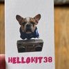 hellokit38