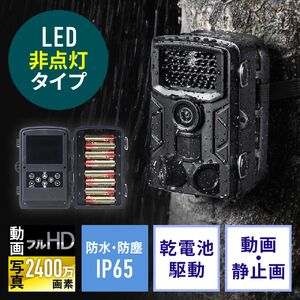 トレイルカメラ 防犯カメラ 屋外対応 フルHD 動物撮影 IP65防水 2400万画素