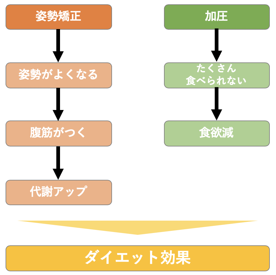 加圧シャツによる副次的な効果「姿勢矯正」と「加圧」