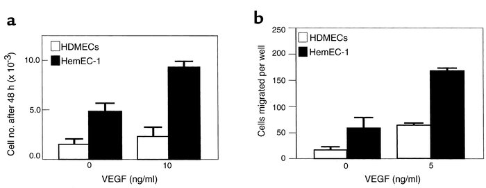 Comparison of in vitro properties of HDMECs vs. hemEC-1. (a) Comparison ...