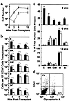 Different engraftment kinetics of human cells in NOD/SCID-β2m–/– and NOD/SC