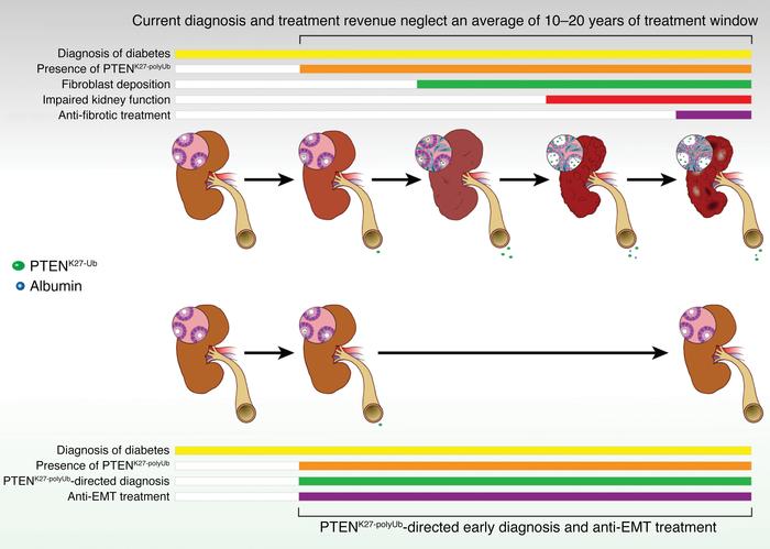 graphical abstract