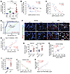 PTENK27-polyUb is correlated with DKD.