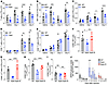 MC-dependent recruitment and activation of T cells in the skin during DENV