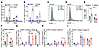 MC-dependent recruitment, proliferation, and activation of γδ T cells at si