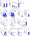 Increased extrafollicular responses following immunization.