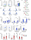 Phenotype and activation of MZ B cells in Fcgr2b-cKO mice and humans.