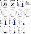 Combined FcγRIIB and MZ deficiency reverses the enhanced response to antige