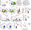 Reduced FcγRIIB expression in MZ B cells from patients with SLE.