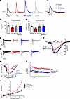 DIO Nox2-KO mice display increased atrial action potential and abrogation o