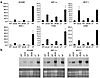 (a) The transcriptional regulation of inflammation genes in the WAT of mice