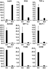 The mRNA expression of ADAM8, MIP-1α, MCP-1, MAC-1, F4/80, and CD68 in stro