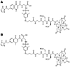 Structure of 111In-RP748, a quinolone targeted at αvβ3 integrin (A), and co