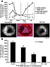 Well counting of myocardial radiotracer activity in relationship to 99mTc-s