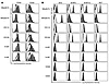 Expression of ligands for NKp46 and DNAM-1 on murine melanoma cells.