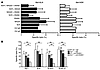 Interference with NCRs and DNAM-1 reduces melanoma recognition.