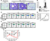 Alveolar CD4+CD25+Foxp3+ Tregs increase after injury with i.